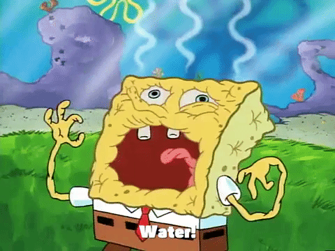 Not Moist
