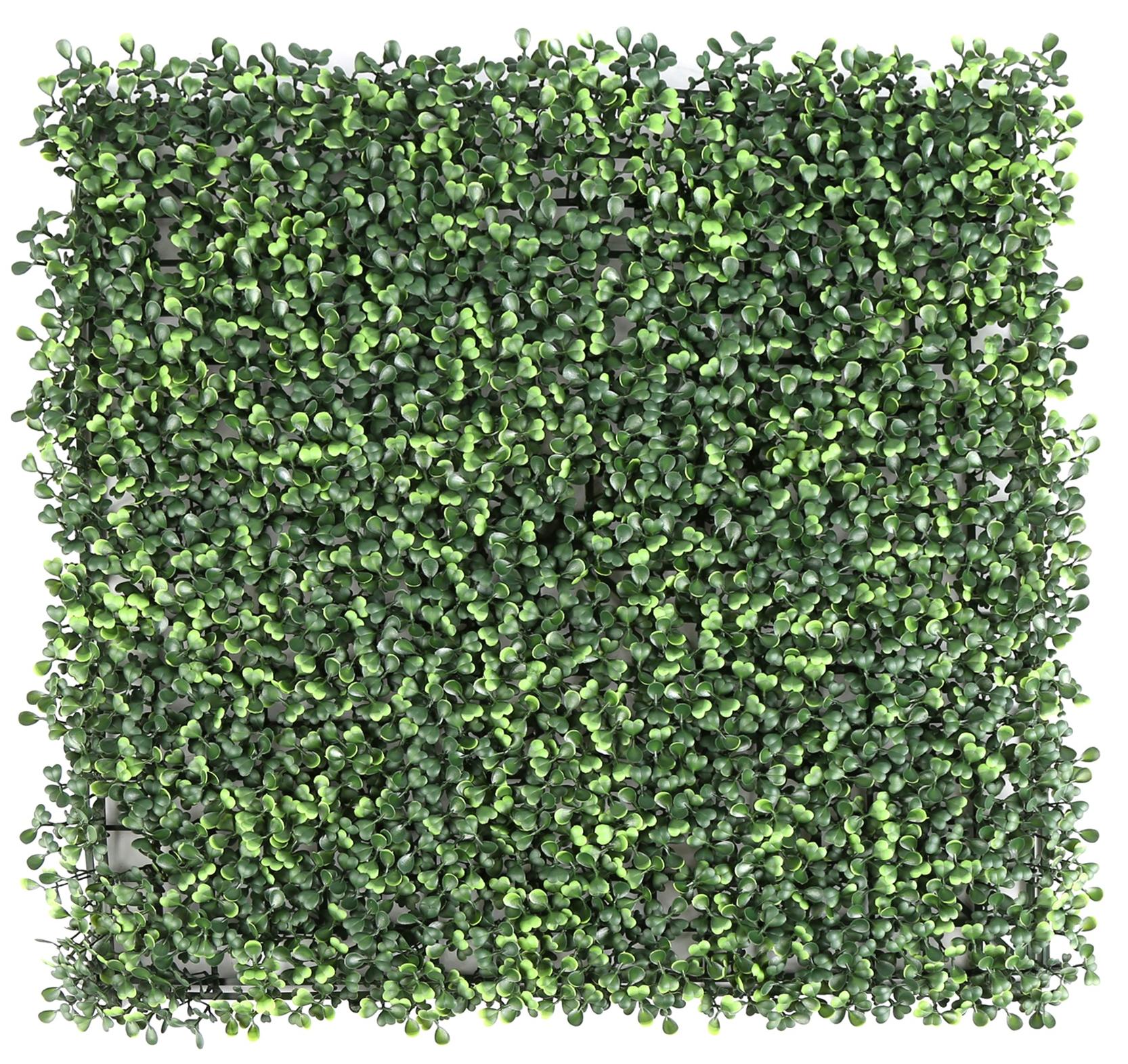 Hedges