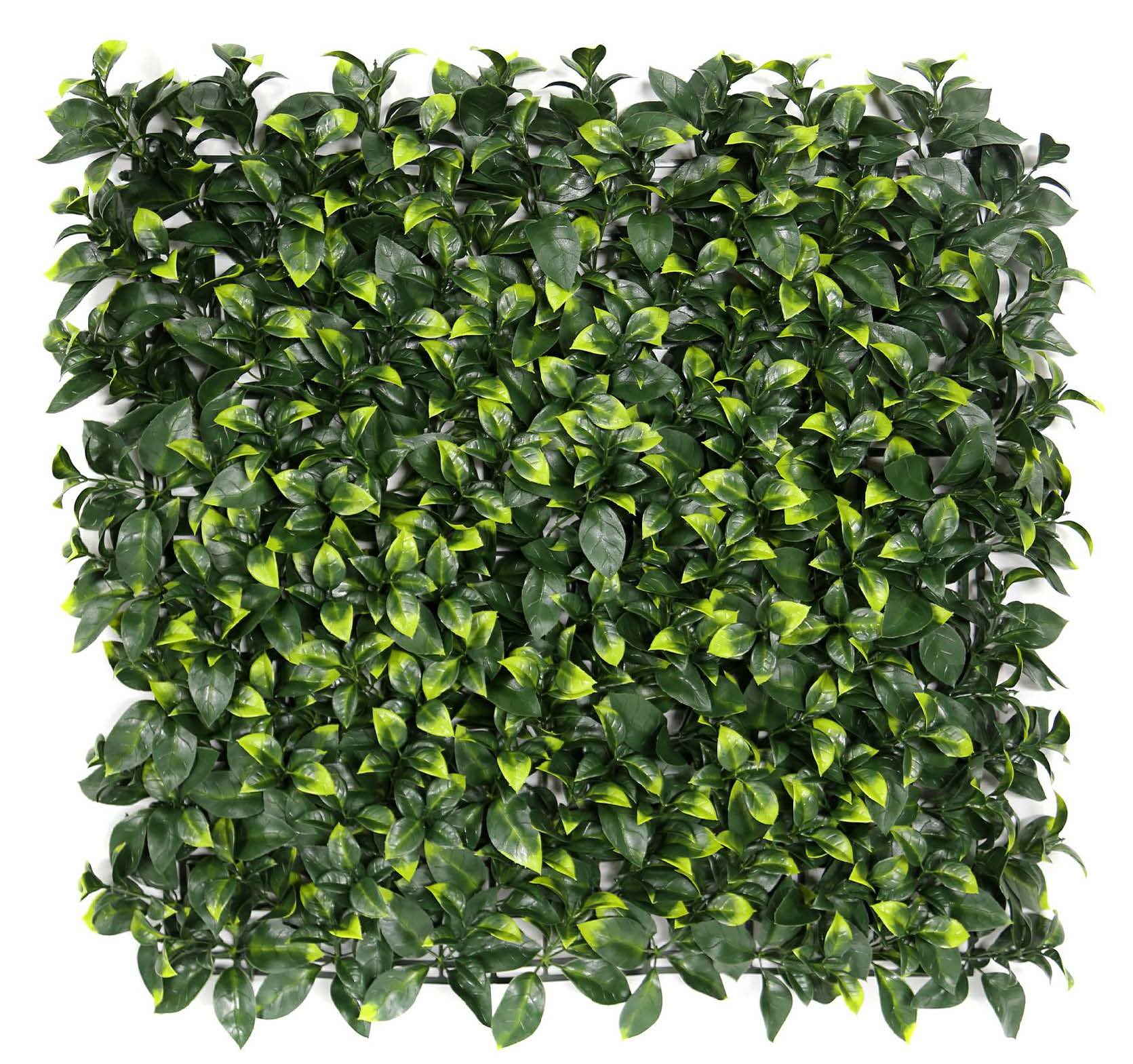 Foliage hedge