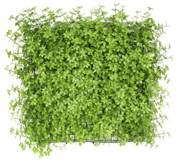 Premium hedge