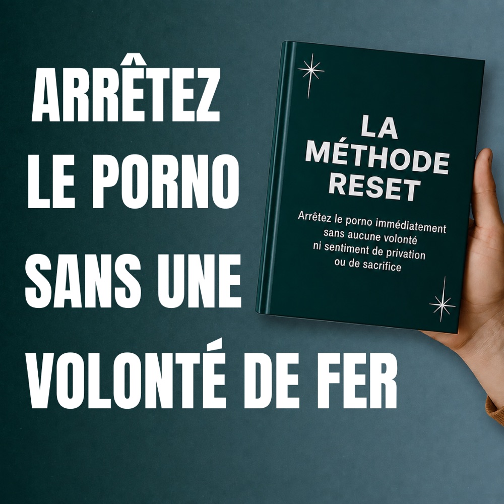 Arrêtez le porno sans une volonté de fer — La Méthode RESET