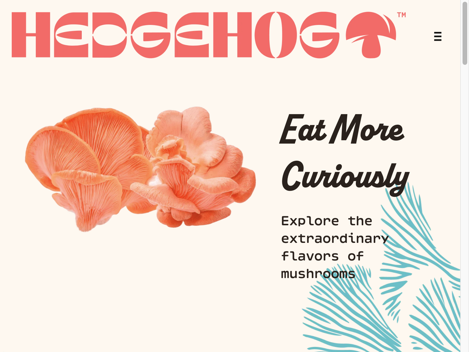 Hedgehog Foods Review: Pros, Cons, Alternatives