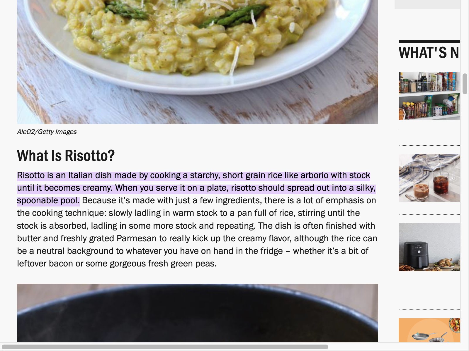 Risotto Review: Pros, Cons, Alternatives