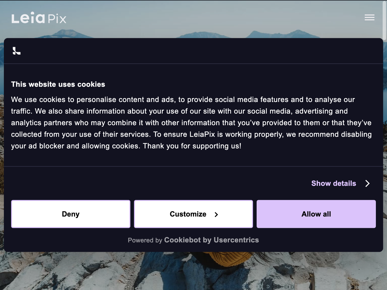 leiapix converter Review: Pros, Cons, Alternatives