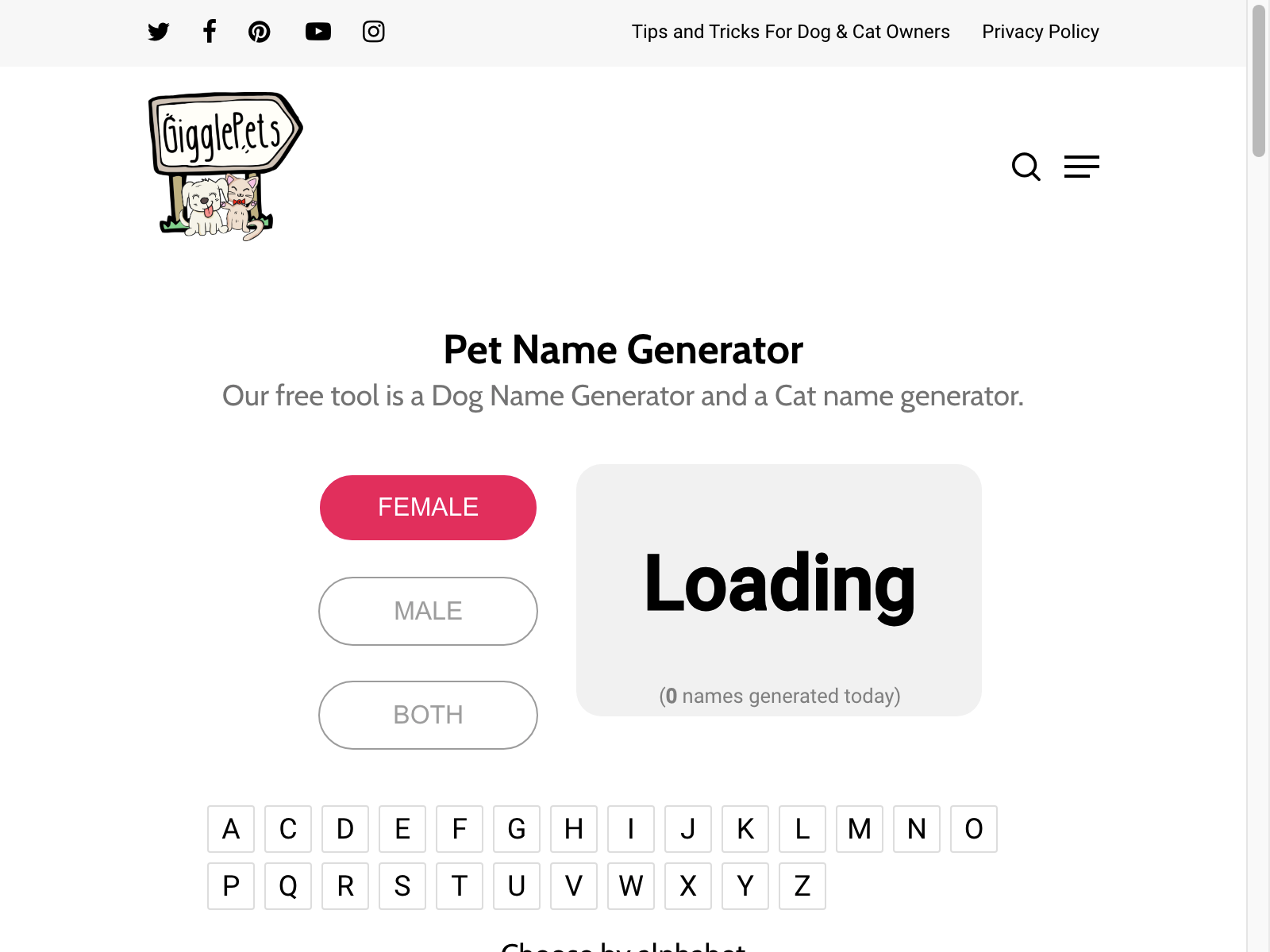 pet name generator Review: Pros, Cons, Alternatives