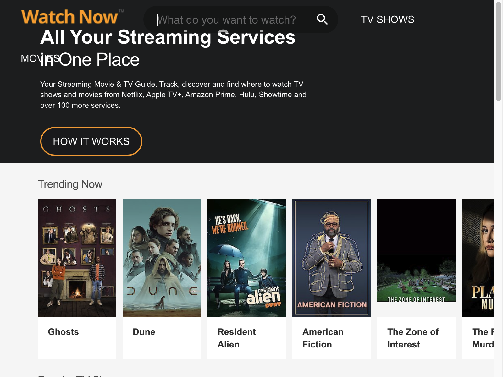 watchnow Review: Pros, Cons, Alternatives