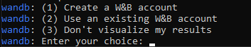 Screenshot of wandb asking for authorization