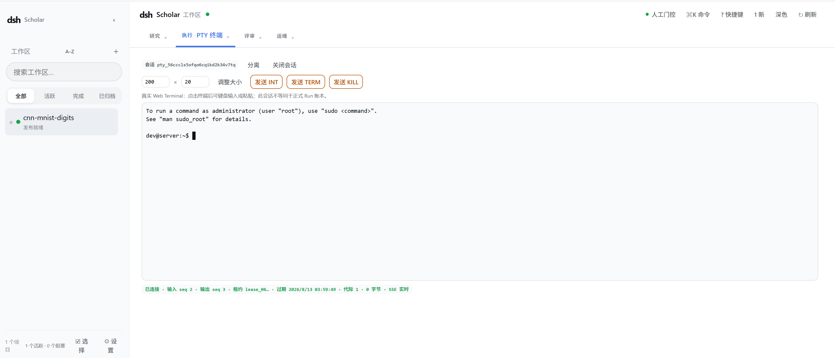 DSH Scholar 远程 Web 交互终端