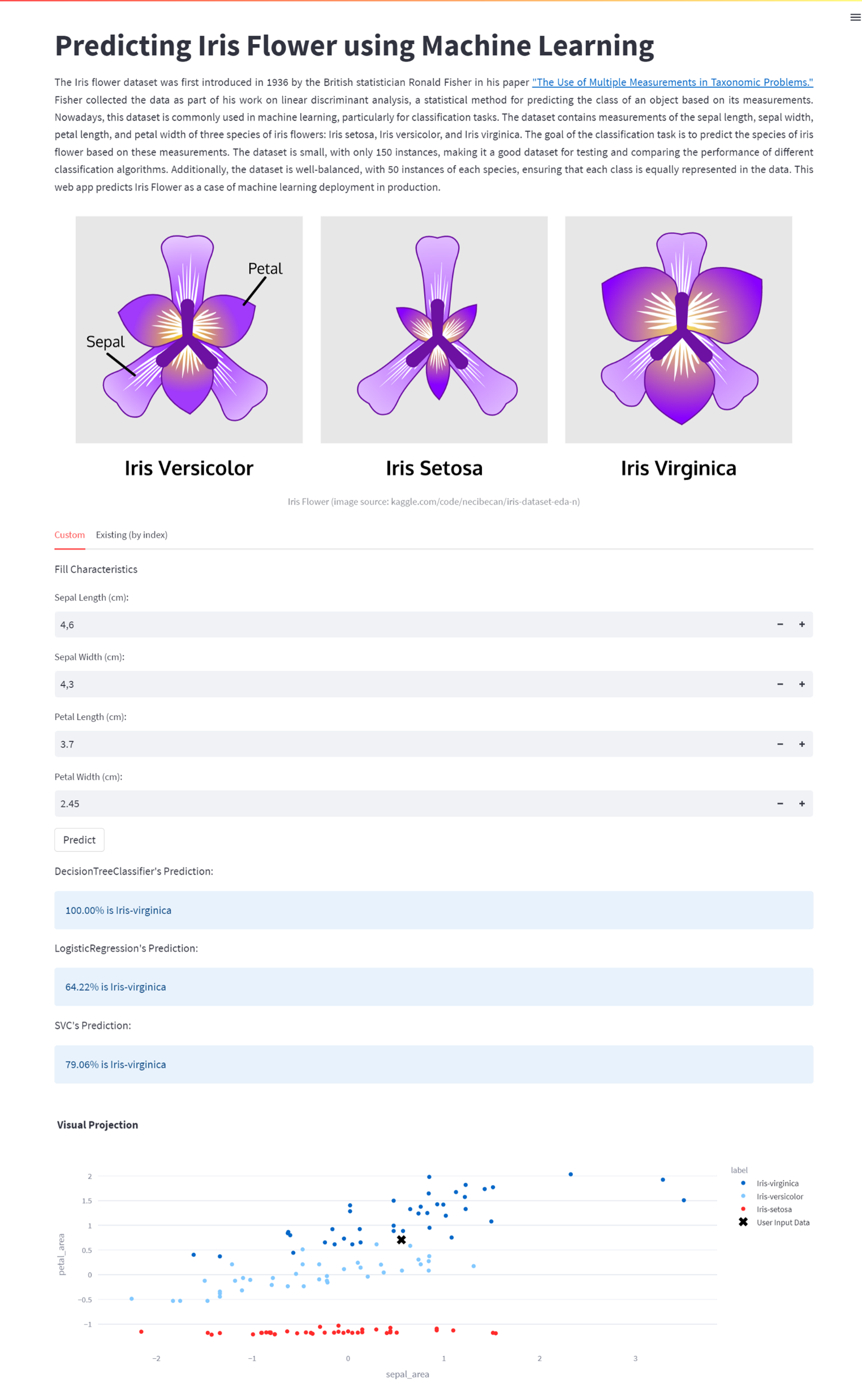 Web App Predicting User Input