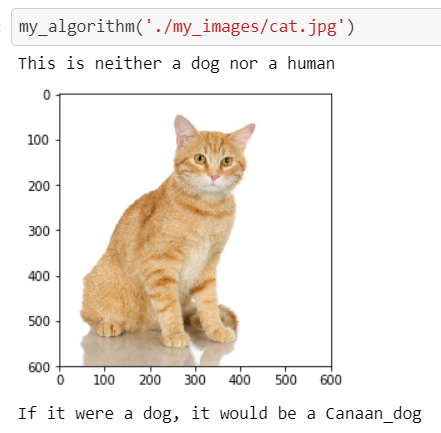 Sample Output: Cat