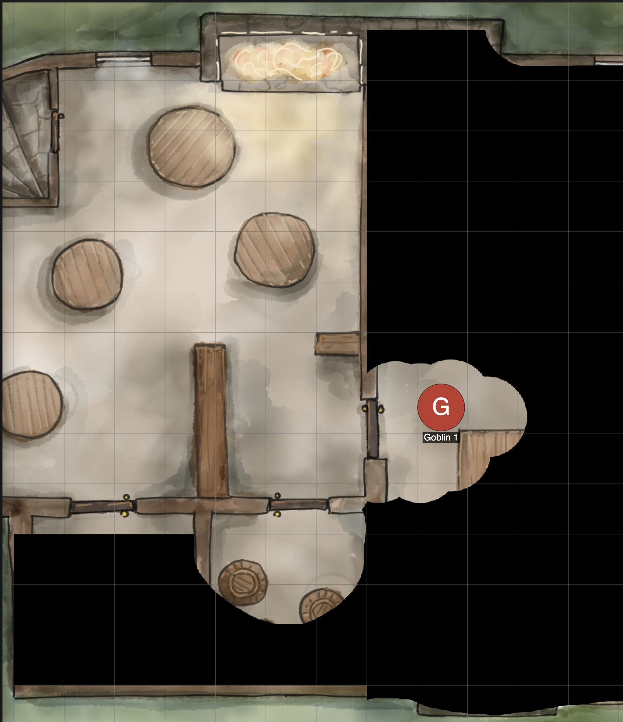 Player view