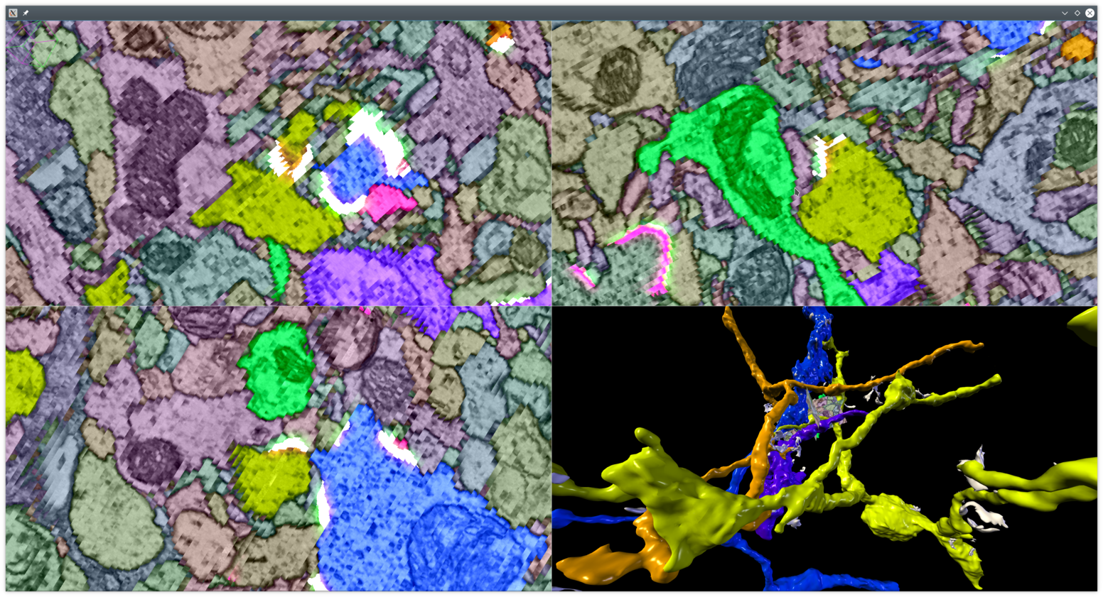 Paintera example with meshes for multiple neurons and synapses