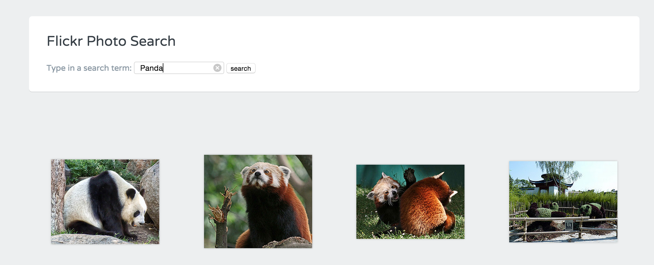 flickr-search screenshot