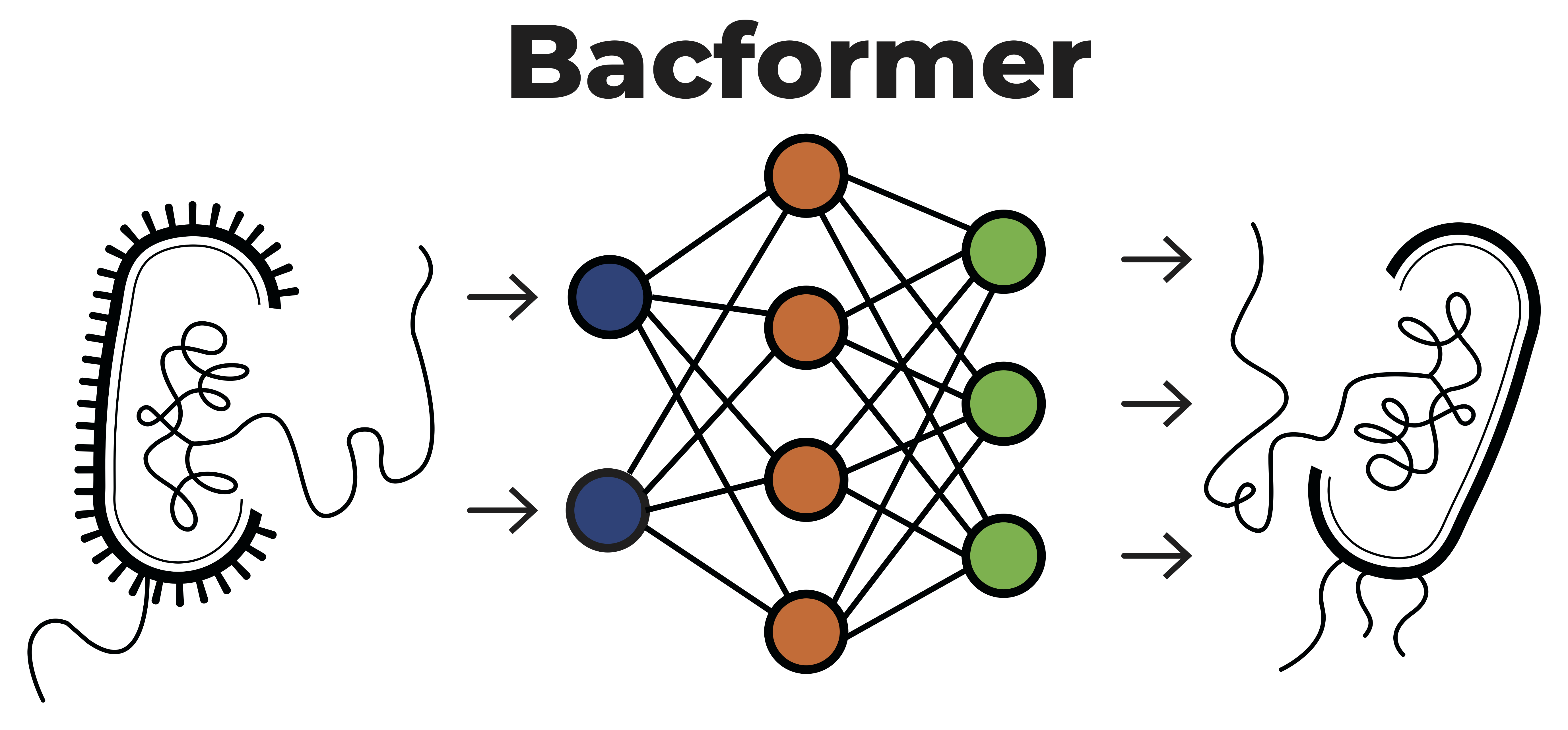 Bacformer