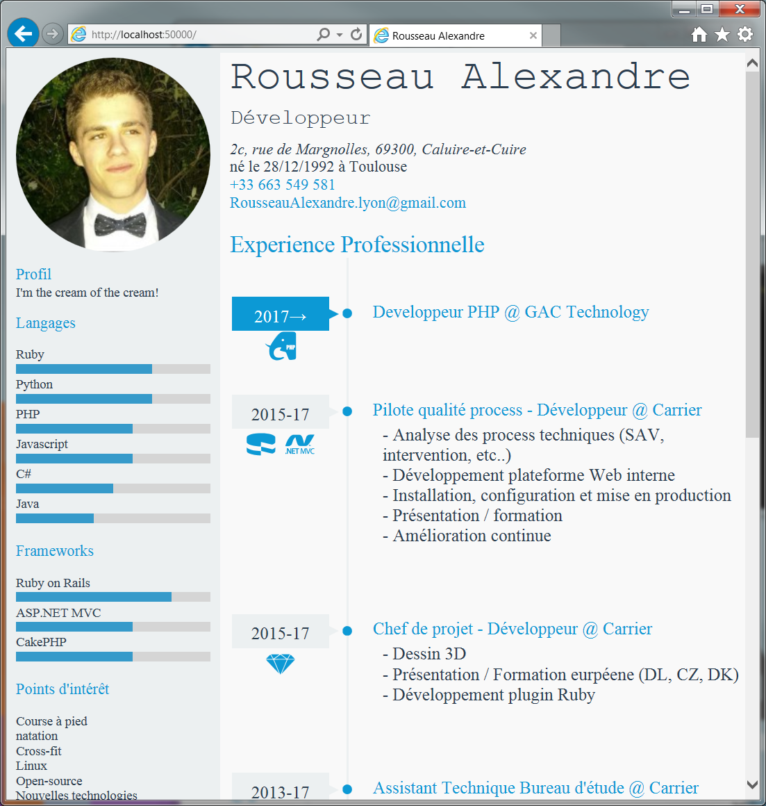 screenshot of CV in dekstop view