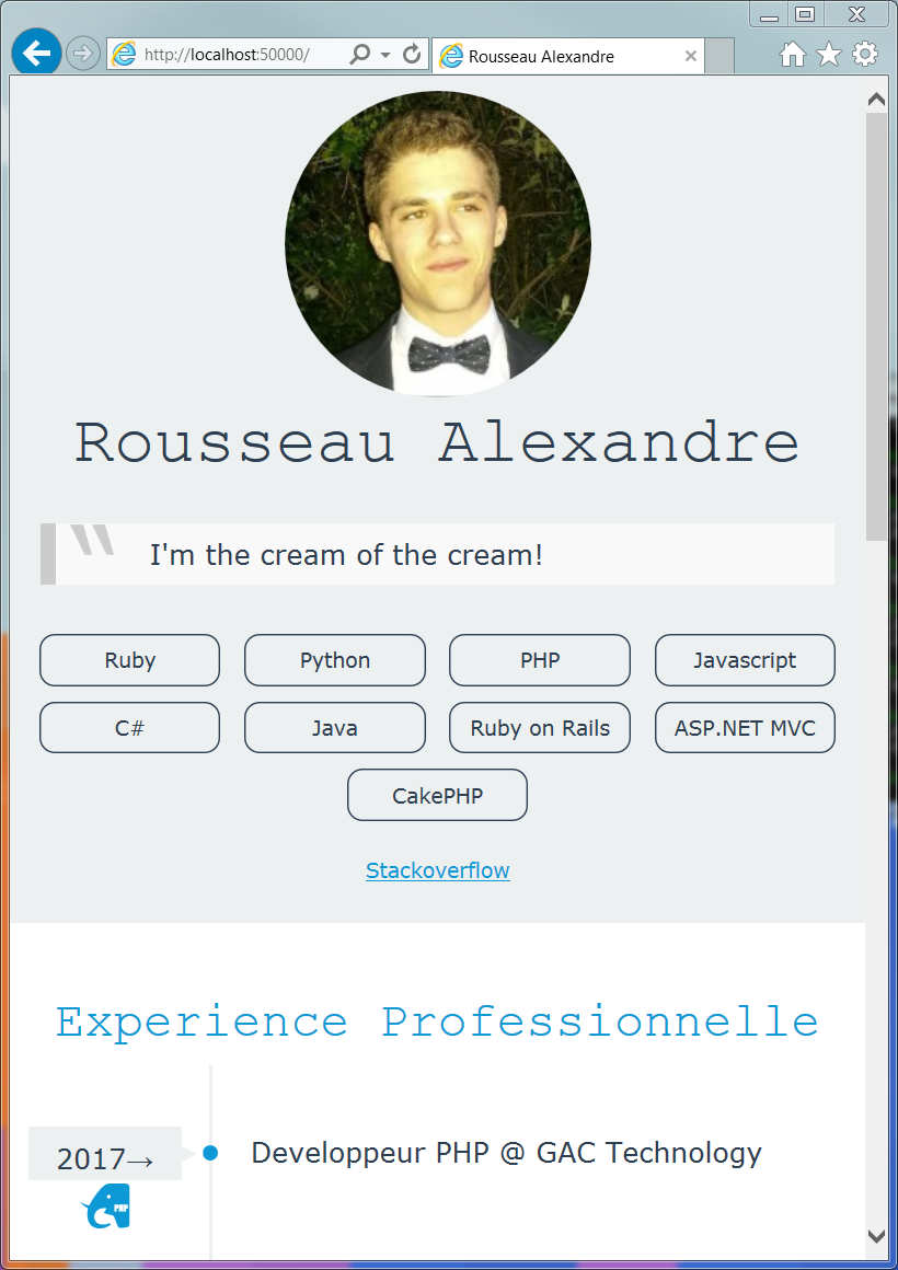 screenshot of CV in mobile view