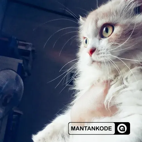 Google Snapseed - Tinggal scan aja untuk dapatkan Filter Gratis Google Snapseed - Tinggal scan aja untuk dapatkan Filter Gratis