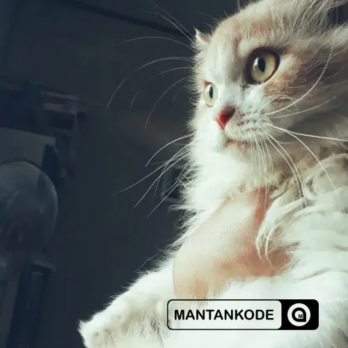 Google Snapseed - Tinggal scan aja untuk dapatkan Filter Gratis Google Snapseed - Tinggal scan aja untuk dapatkan Filter Gratis