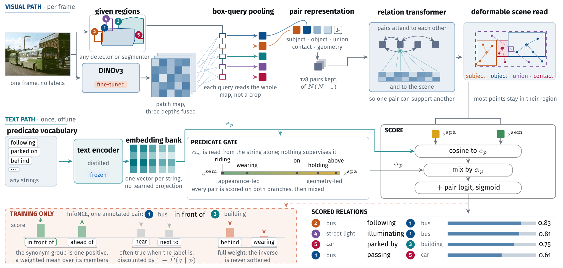 Figure 2: RelateAnything's visual path, text embedding bank, predicate-conditioned scoring gate, and training objective