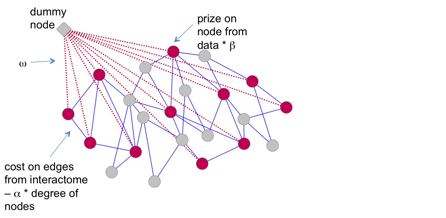 network with parameters