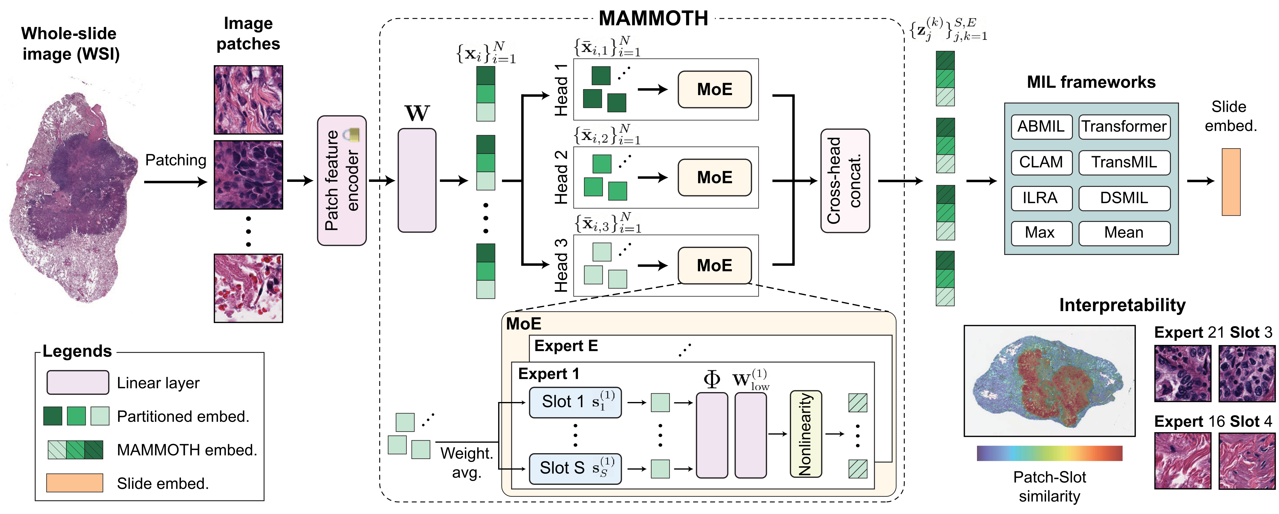 Mammoth architecture
