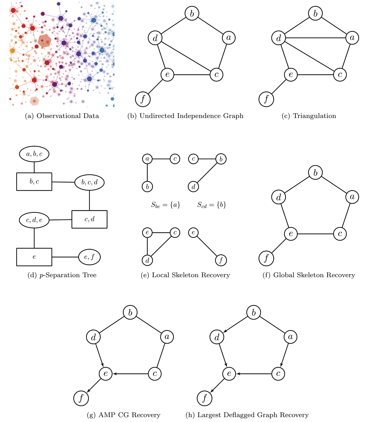 AMP Chain Graphs: Minimal Separators and Structure Learning Algorithms ...