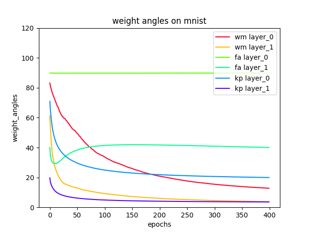 weight angles on MNIST