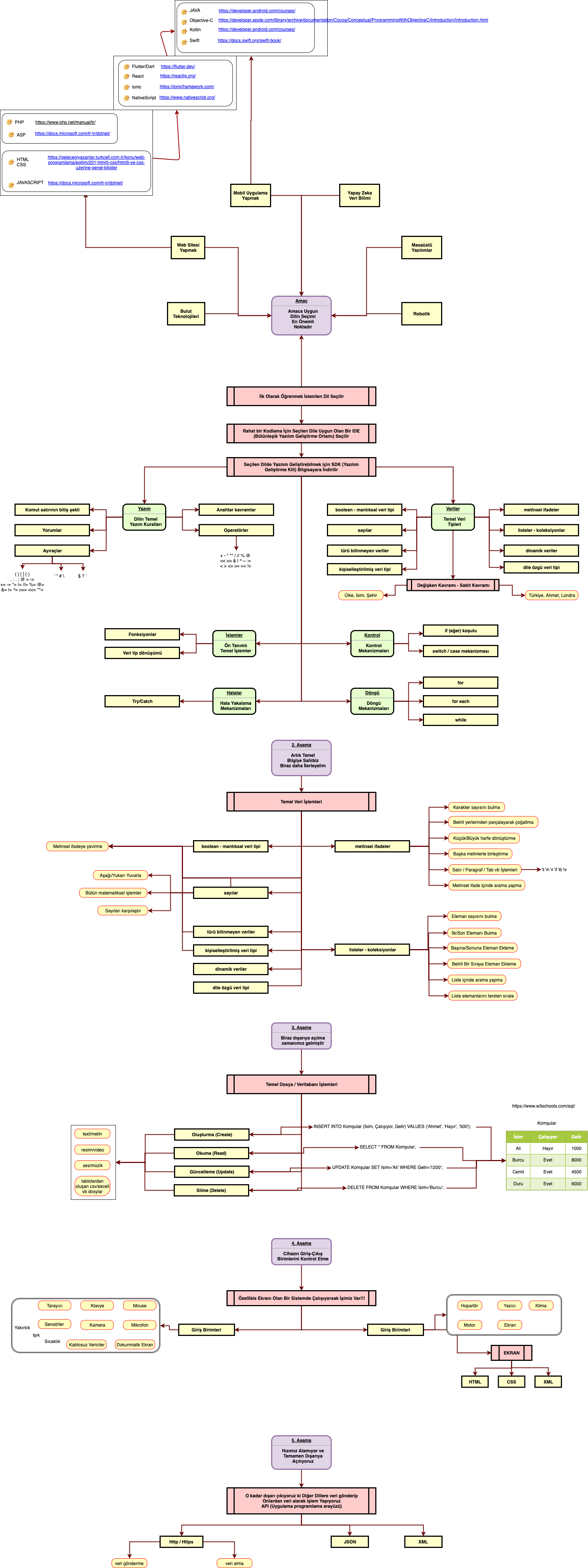 TemelYazilimOgrenmeAdimlari Diagram