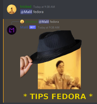 fedora