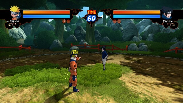 Fight arena