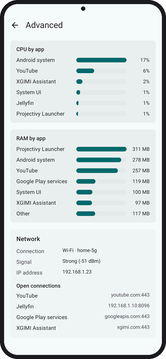 Advanced monitor: CPU and RAM by app, the TV's network connection, and the apps' open connections