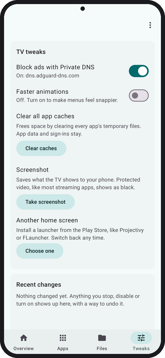 TV tweaks: ad-blocking Private DNS on, faster animations, clear caches, screenshot, and Another home screen to install a launcher