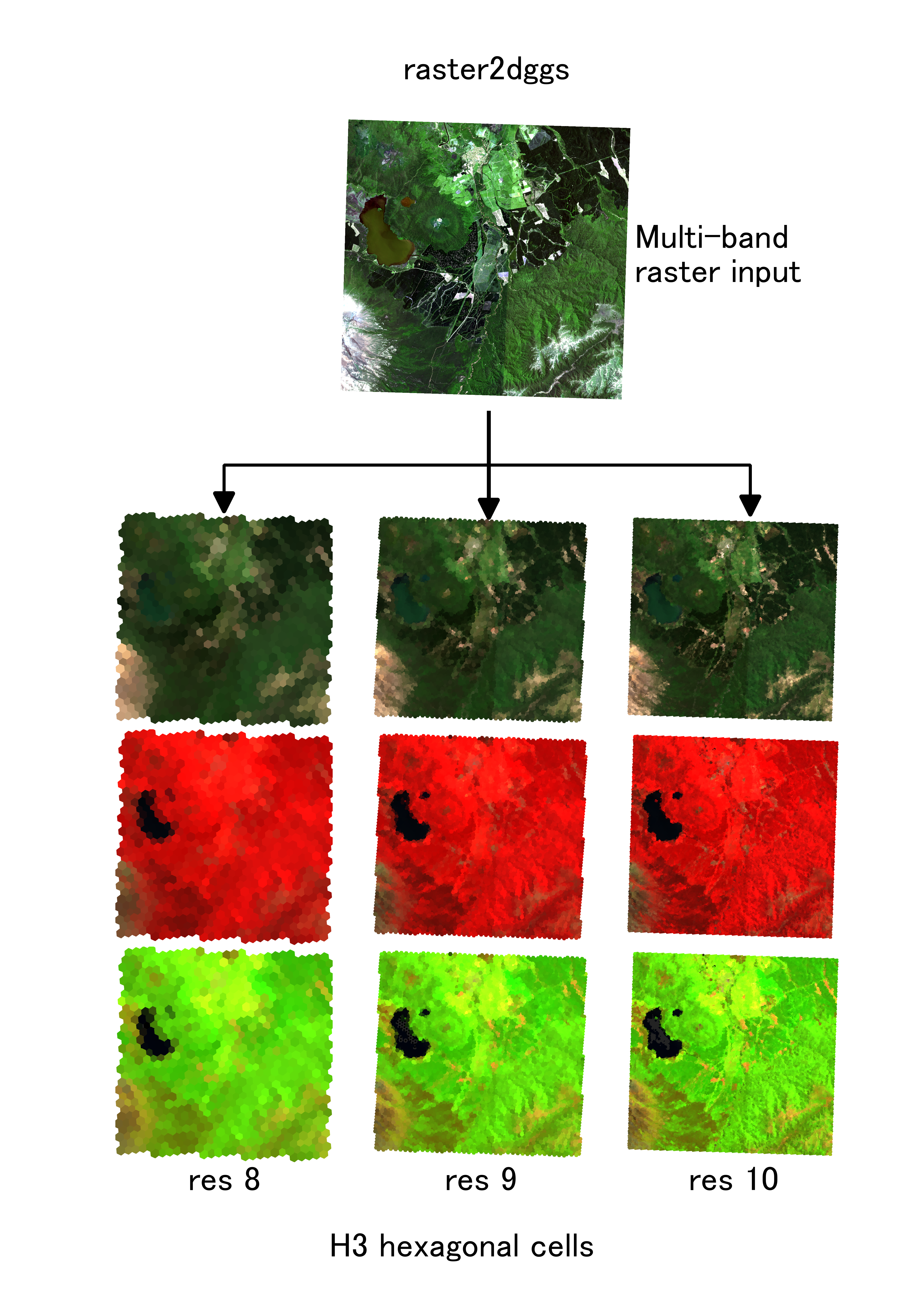 Example use case for raster2dggs, showing how an input raster can be indexed at different DGGS resolutions, while retaining information in separate, named bands