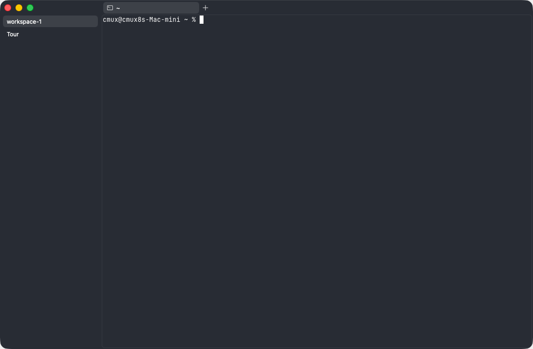 Type in the terminal