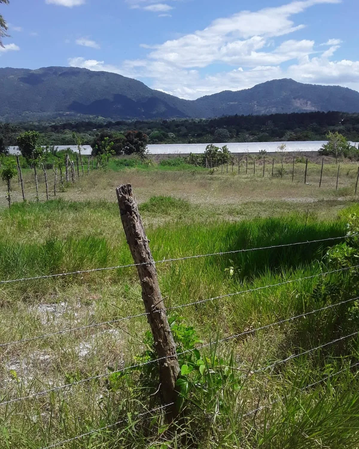 Terreno de 700 m² en Jarabacoa · Fotografía 3