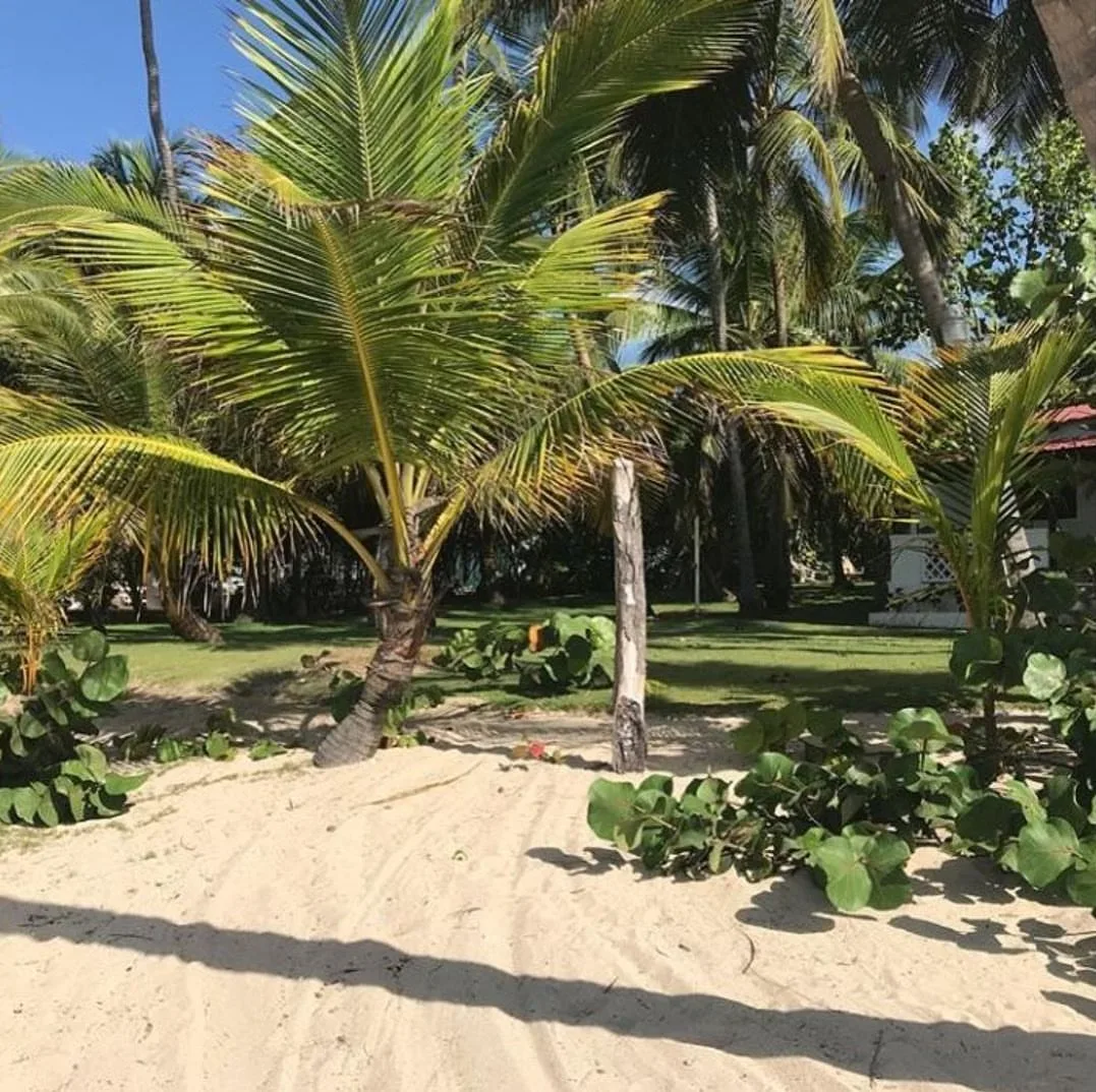 Terreno frente a la playa en Juan Dolio · Fotografía 2