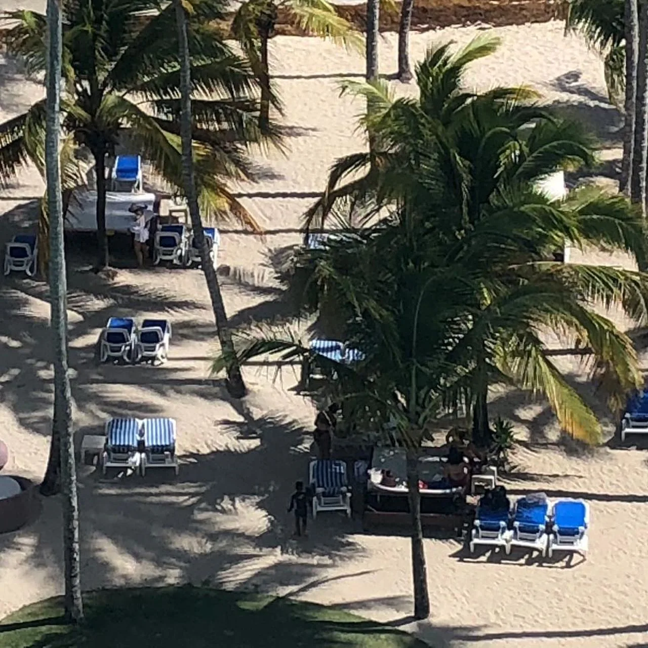Apartamento amueblado en alquiler en Mar Bella · Fotografía 3