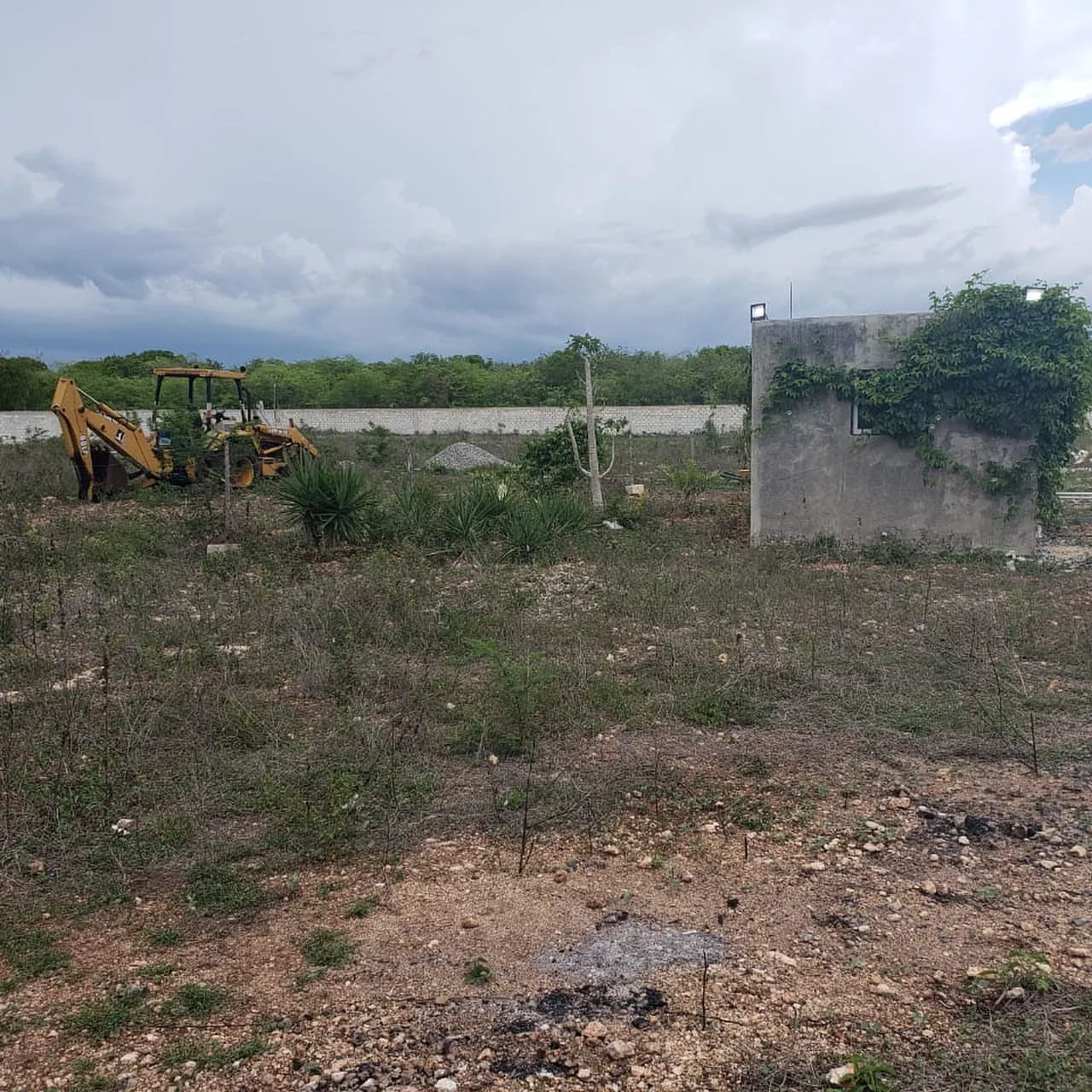 Villa con piscina en finca de 10,000 m² · Fotografía 4