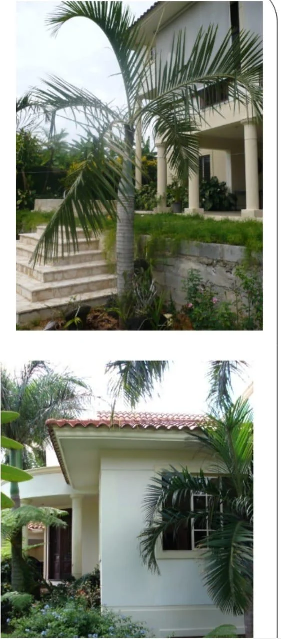 Casa en Cuesta Hermosa III, Arroyo Hondo · Fotografía 3