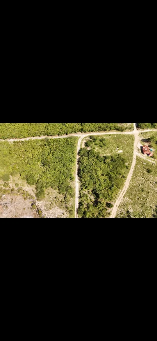Terreno de un millón de metros en Punta Cana · Fotografía 5