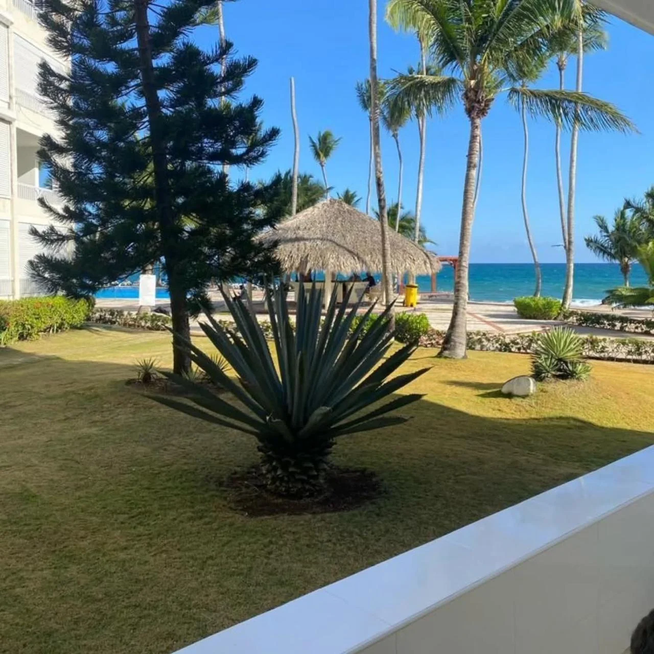 Apartamento estudio frente al mar en Juan Dolio · Fotografía 2