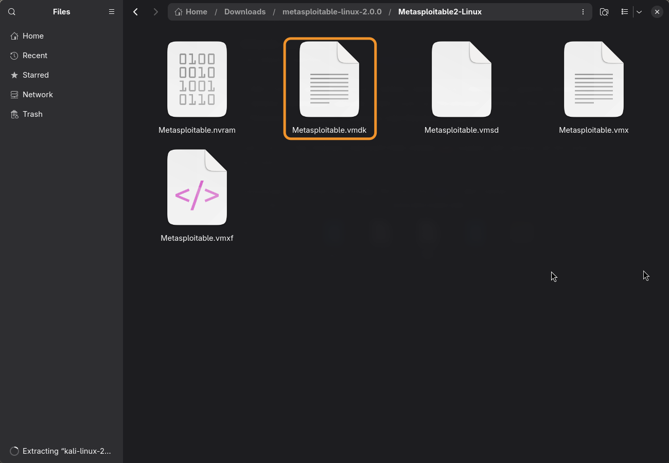 Metasploitable Files