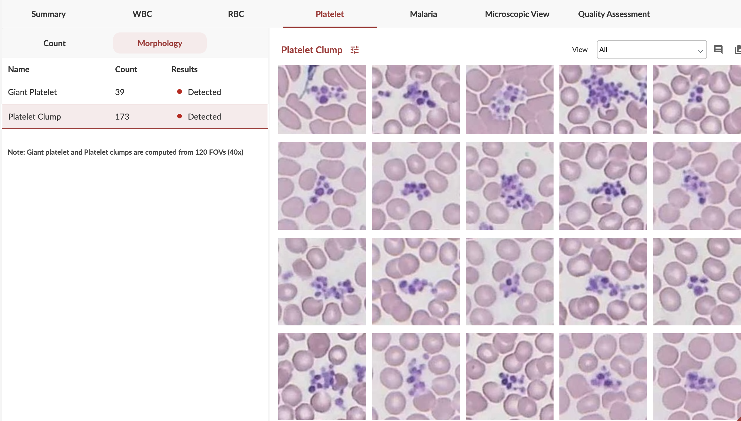 Shonit Screenshot 3