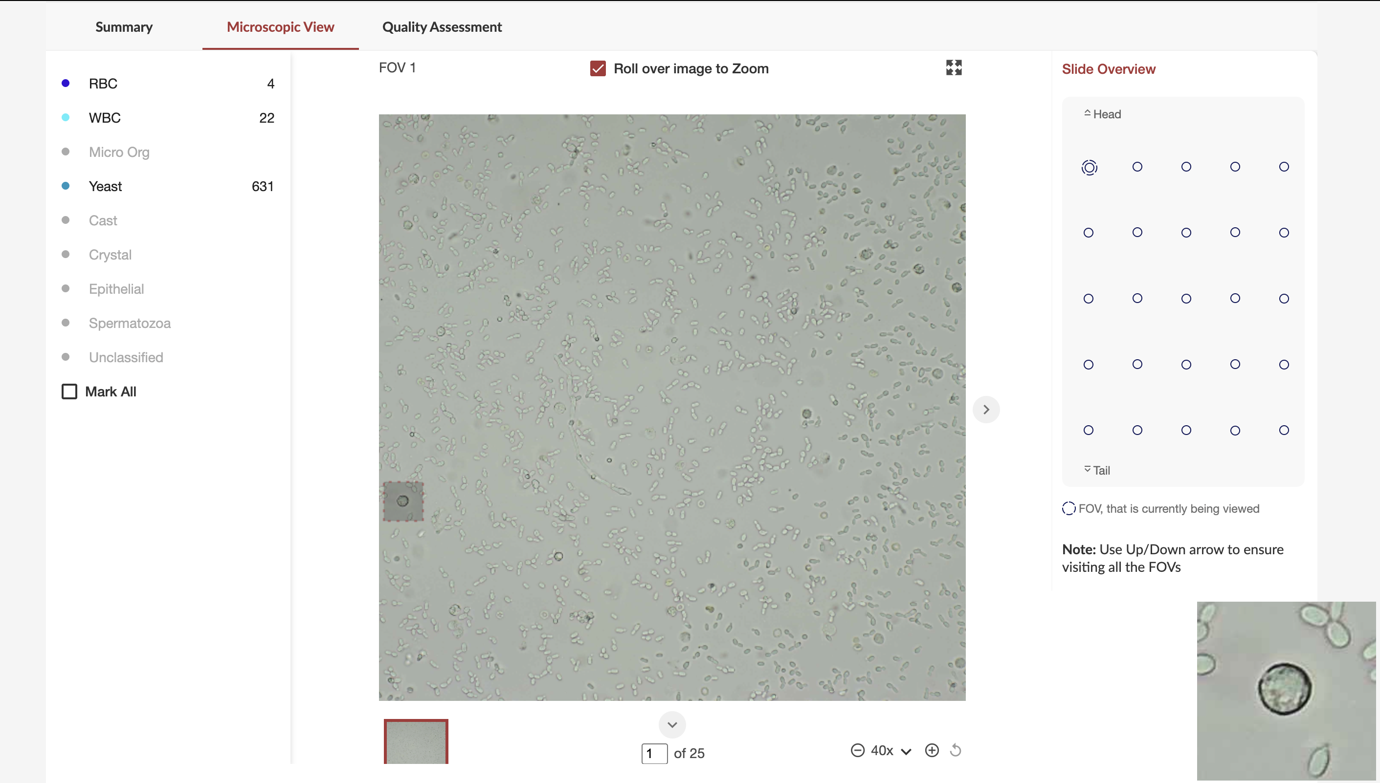 Shrava screenshot 3