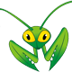 Mantis Bug Tracker