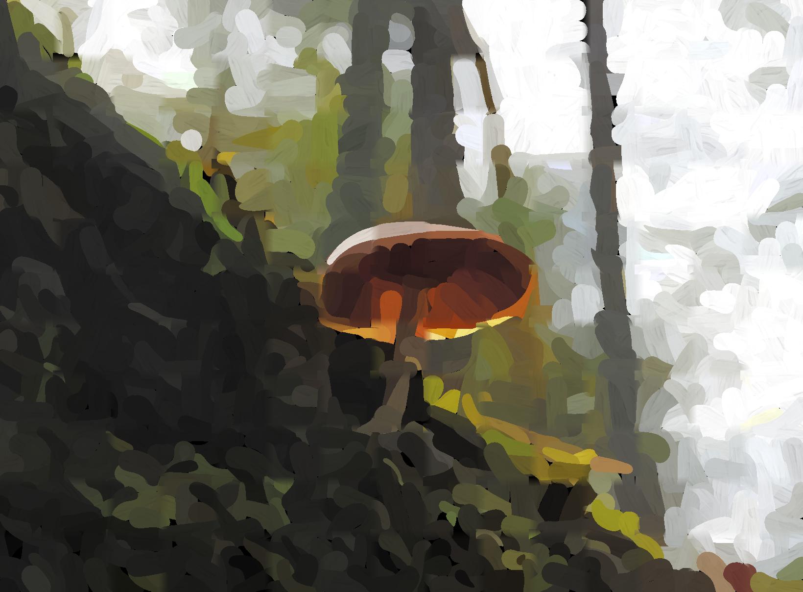 Reference Image 6