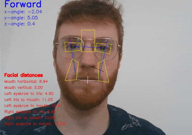 facial_distances