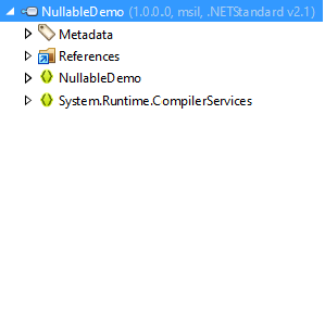 .NET Standard 2.1