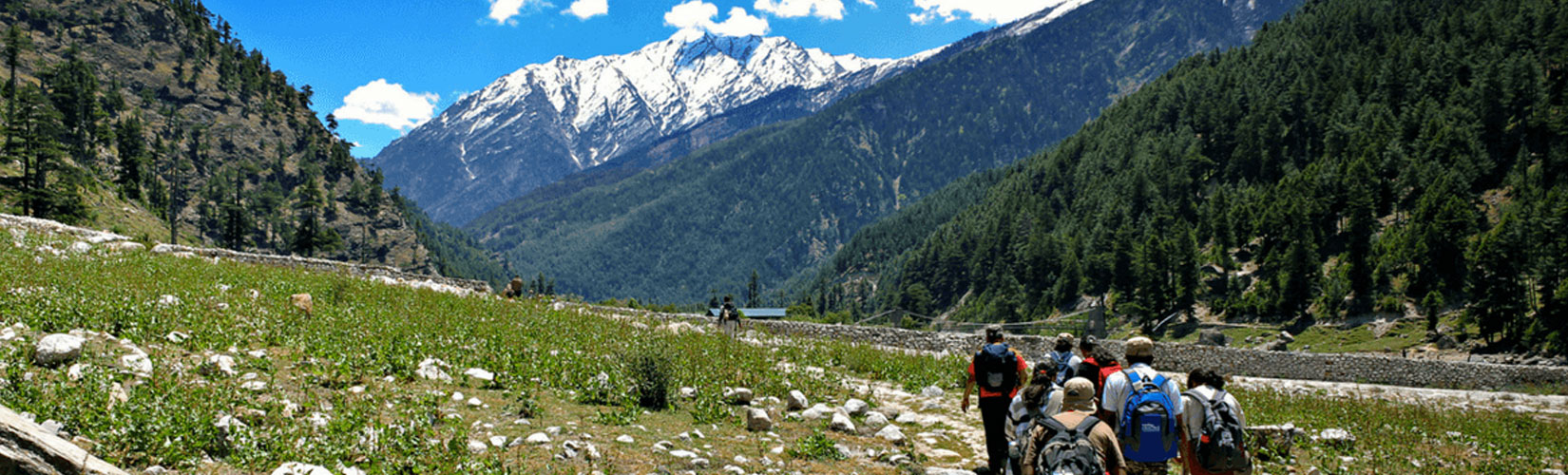 Hemis to Padum Trek: A Journey Through Ladakh's Untamed Beauty