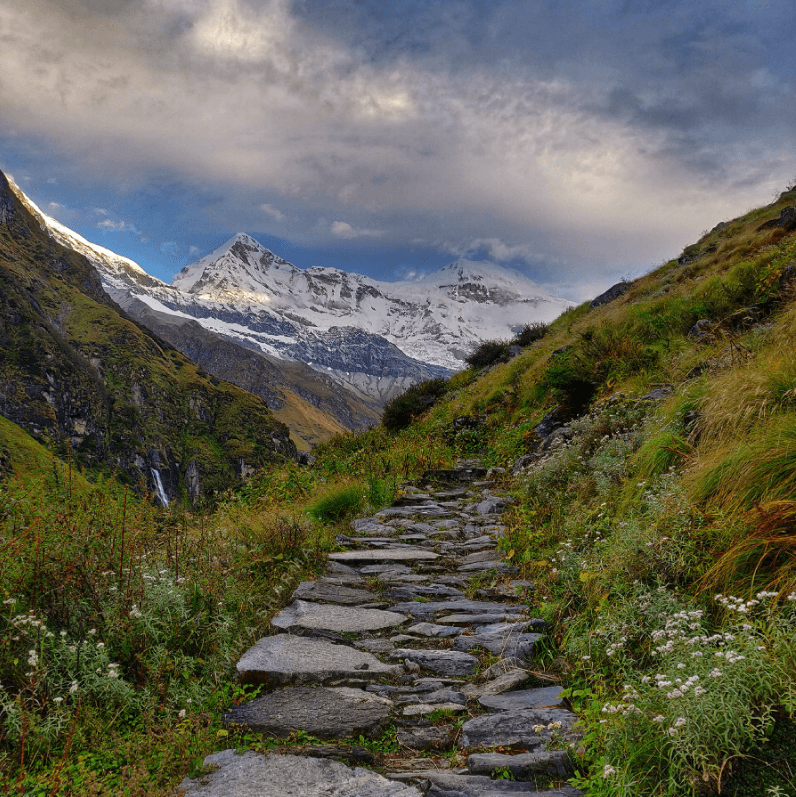 Pindari Glacier